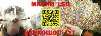 сатива Нарткала