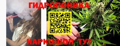 сатива Нарткала