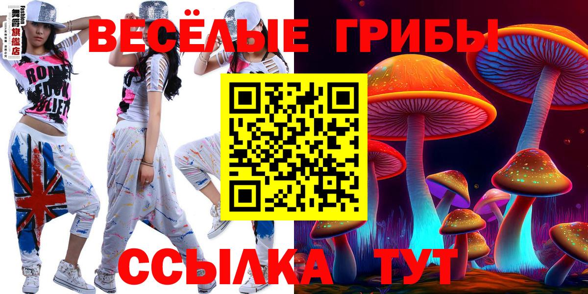 Советская Гавань  Галлюциногенные грибы GOLDEN TEACHER  Вход с VPN 