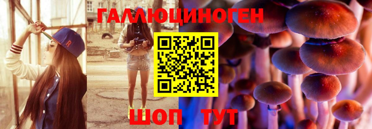 Галлюциногенные грибы Psilocybine cubensis Советская Гавань